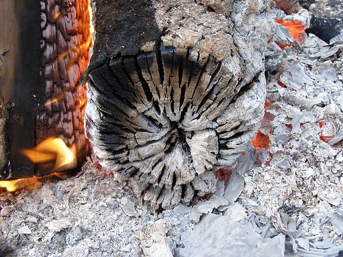 biomass briquette ash