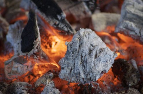 biomass briquette fuel