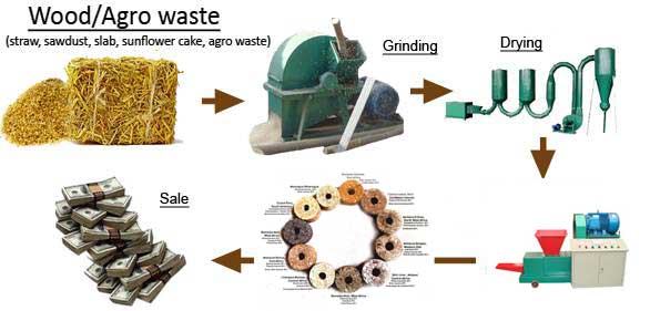 biomass briquette system